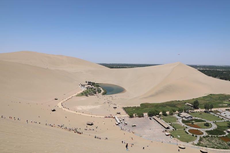 Sorcerer's Oasis