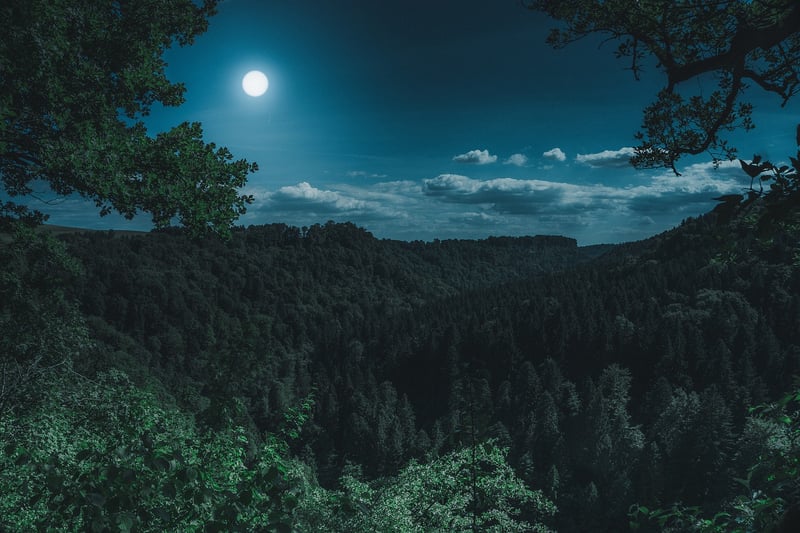 Fantasy Landscape