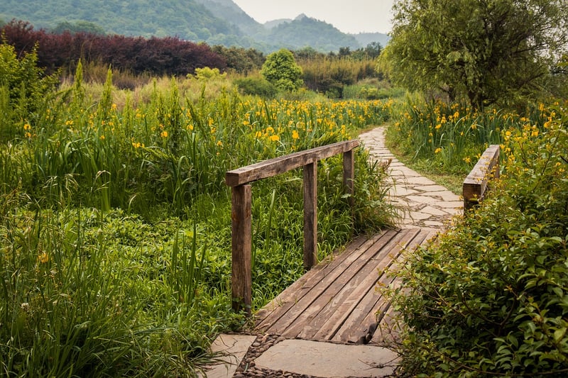 Enchanted Stepping Stones